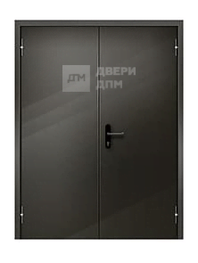 Уличная противопожарная дверь с порошковым окрасом ДП-036